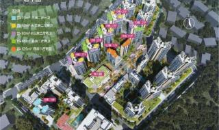 万科未来之光怎么样