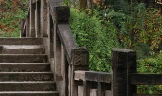 四川国际标榜学院