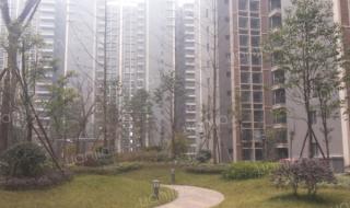 四川文化产业学院