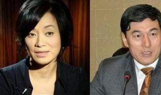 中植集团有多厉害