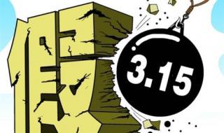 315打假是什么意思