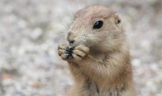 长沙海底世界在哪里