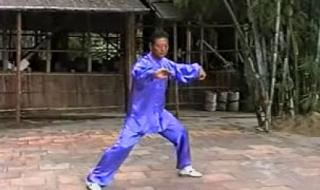 陈式太极拳小架一路