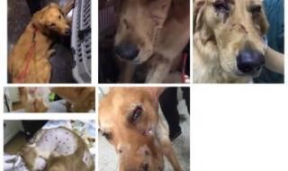 东航是哪个航空公司 东航是哪个航空公司