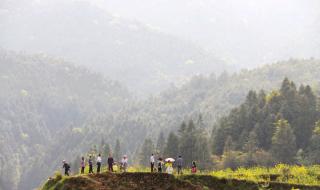 校园春色春暖花开