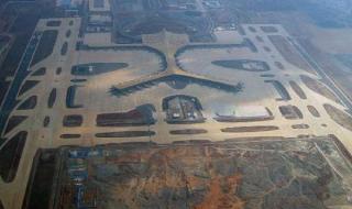 警方调查黄金鲍事件