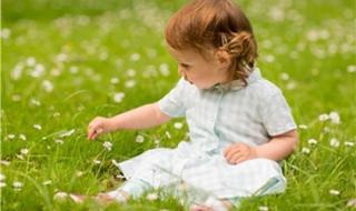 取名字大全免费 取名字大全免费